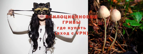 ALPHA PVP Алексеевка